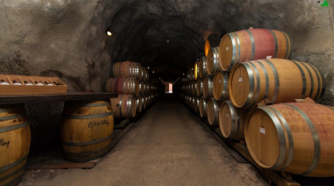 Queenstown: 5-Hour Wine Tasting Tour In Wineries Of Gibbston Region
