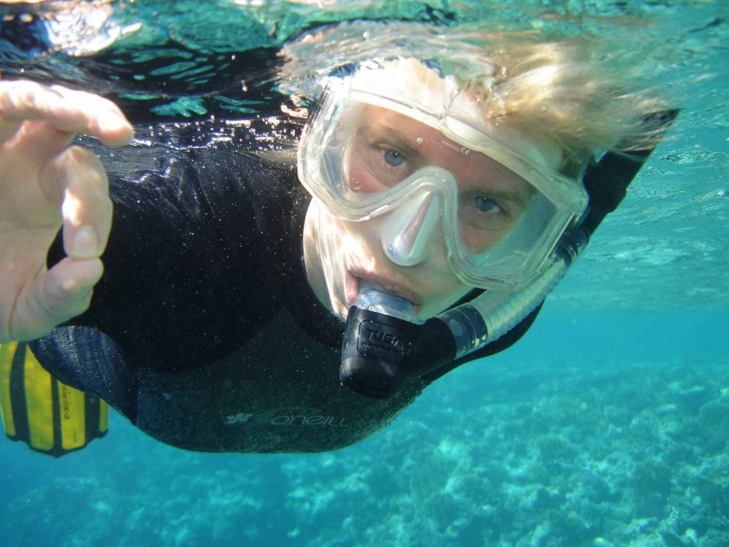 Sydney 3 Hour Snorkeling Tour