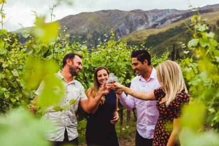 De Queenstown: Circuit De Dégustation De 5 Heures Dans Les Vignobles De La Région De Gibbston