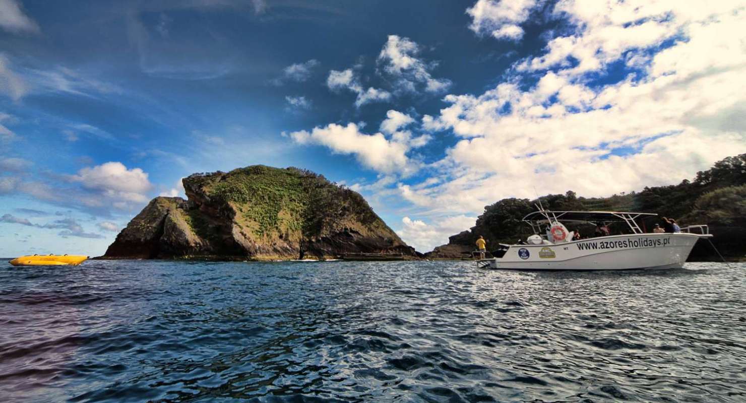 Full-Day Whale Watching Boat Tour In São Miguel Island, Azores