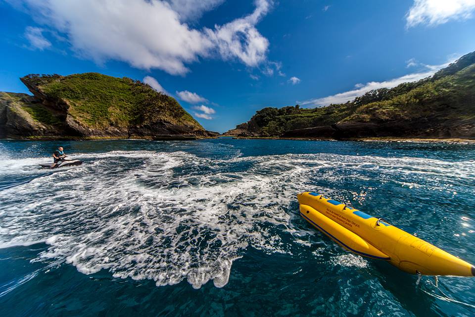 Full-Day Whale Watching Boat Tour In São Miguel Island, Azores