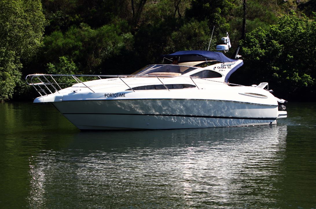 Half-Day Cruise Along 6 Bridges Of The Douro River And Crestuma-Lever