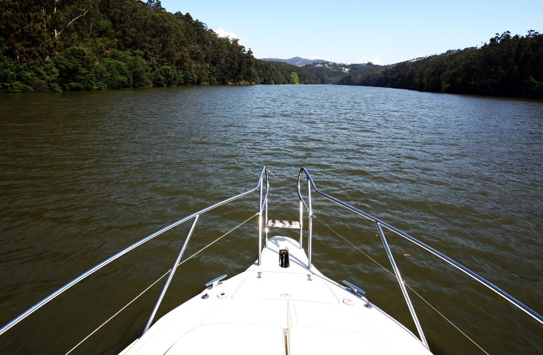 Porto: Full-Day Tour To The Douro River With Boat Tour, Wine Tasting And Lunch