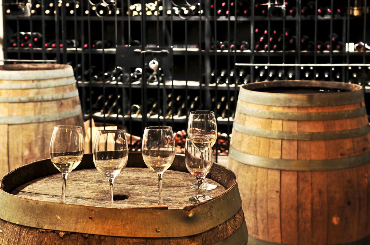 Half Day Wine Tasting Tour In Vineyards From Mendoza