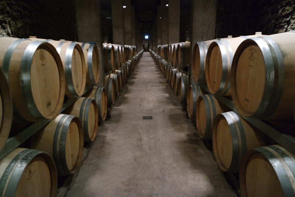 Half Day Wine Tasting Tour In Vineyards From Mendoza
