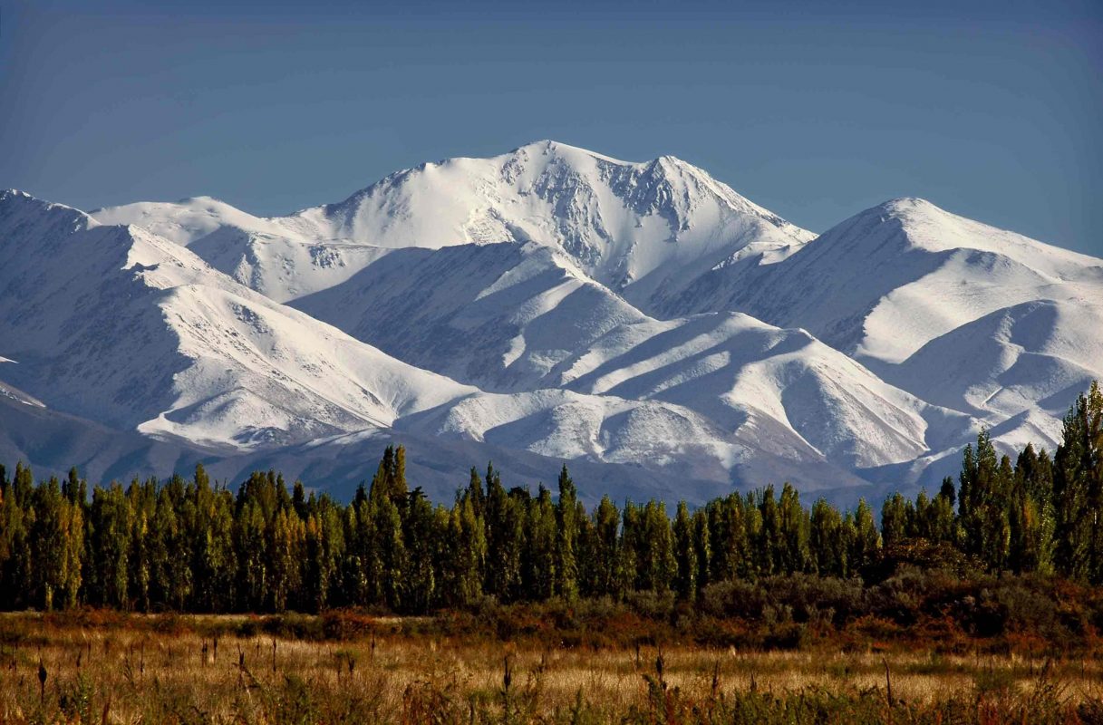 Half Day Wine Tasting Tour In Vineyards From Mendoza
