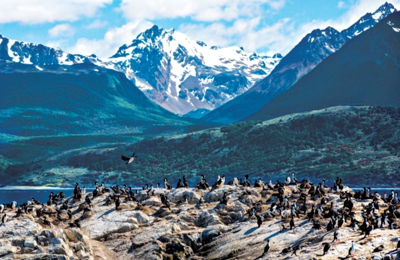 From Ushuaia: Beagle Channel Boat Tour With Sea Lions' Island