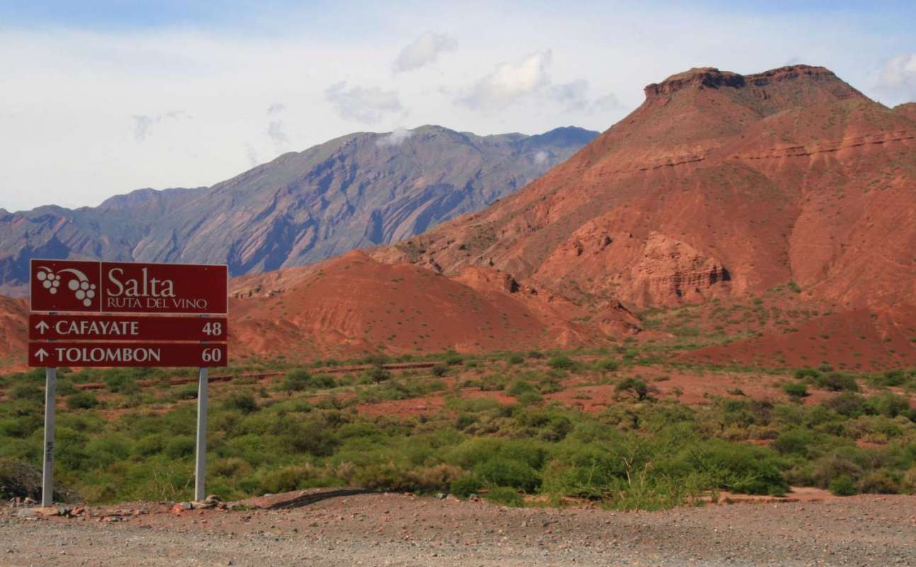 Excursion To The Argentine Wine Route Departing From Salta