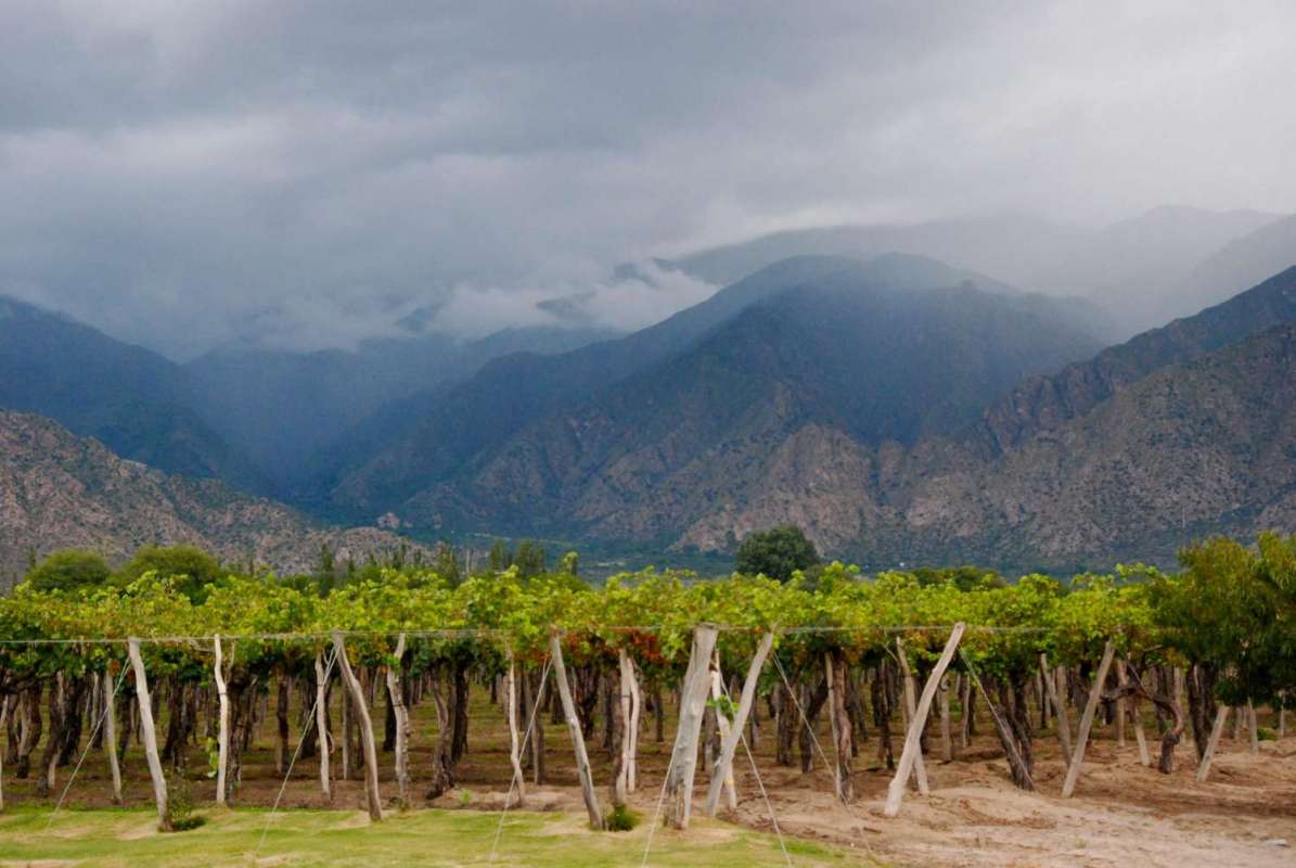 Excursion To The Argentine Wine Route Departing From Salta