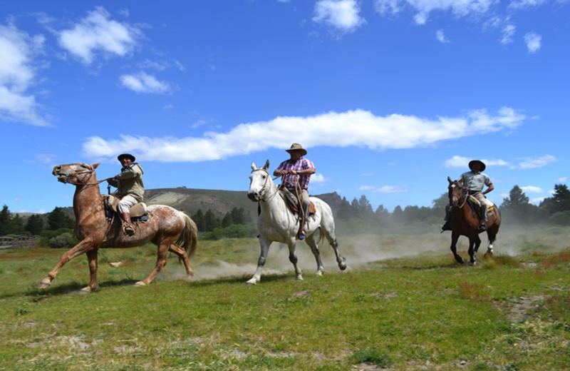 From Bariloche: Half-Day Horseback Riding Trip In Rancho San Ramon With Barbecue