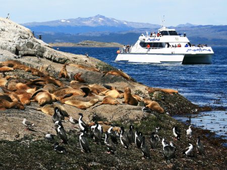 De Ushuaia: Passeio De Barco Pelo Canal De Beagle Com A Ilha Dos Leões Marinhos
