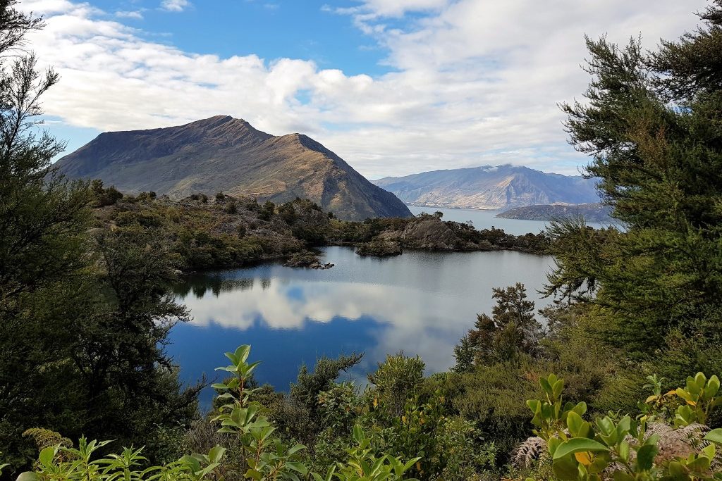 3-Hour Tour To Mou Waho Island On The Wanaka Water Taxi