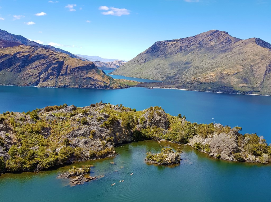 3-Hour Tour To Mou Waho Island On The Wanaka Water Taxi