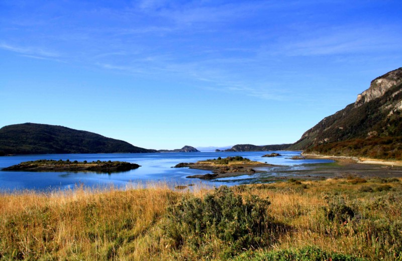 From Ushuaia: Excursion To Tierra Del Fuego National Park With Train Of The End Of The World