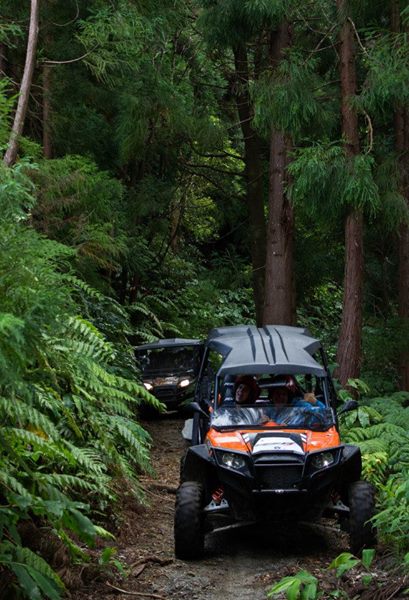 Half-Day Buggy Tour To Seven Cities From Ponta Delgada