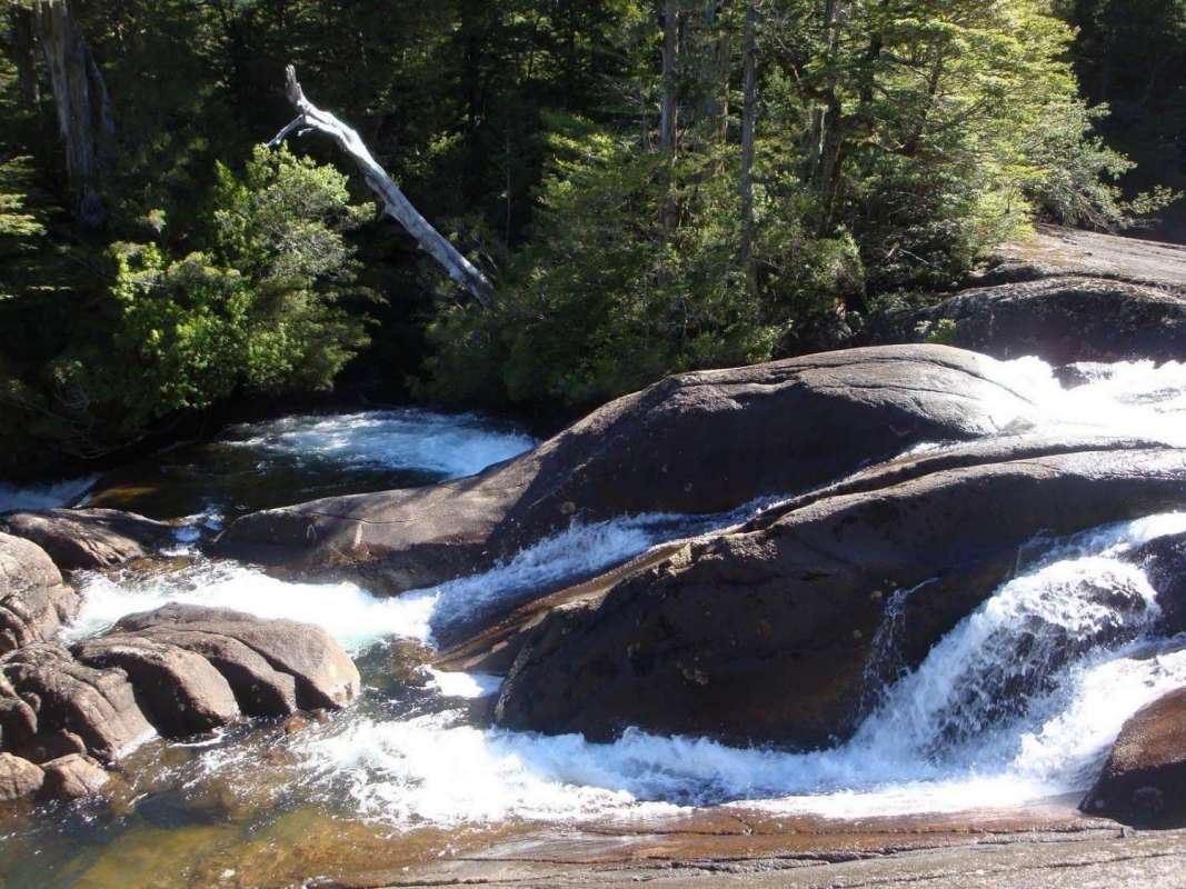 From Bariloche: Half-Day Boat Tour To Puerto Blest And Cantaros Falls
