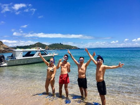 De Paihia: Bay Of Islands Day Cruise E Island Tour