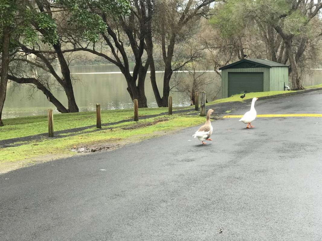 From Mount Gambier: Small-Group Tour To Blue Lake, Caves & Coast With Lunch
