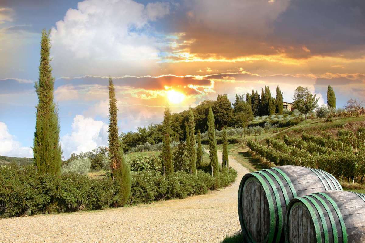 From Florence: Full-Day Tour In The Chianti Hills With Wine Tasting & Lunch