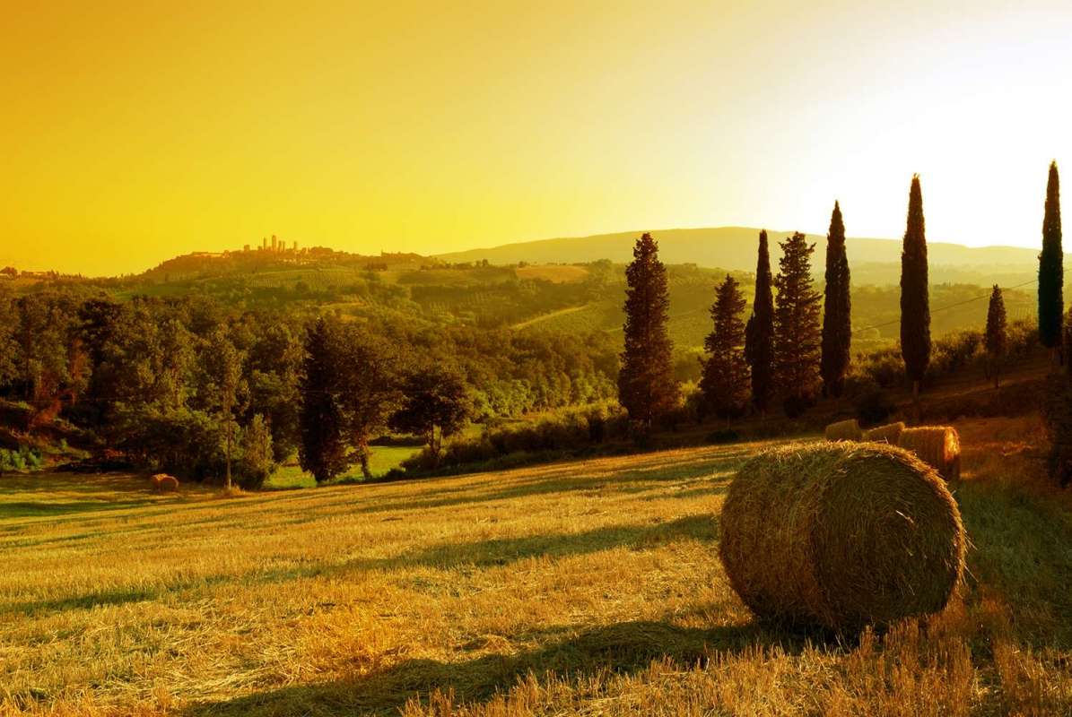 From Florence: Full-Day Tour In The Chianti Hills With Wine Tasting & Lunch