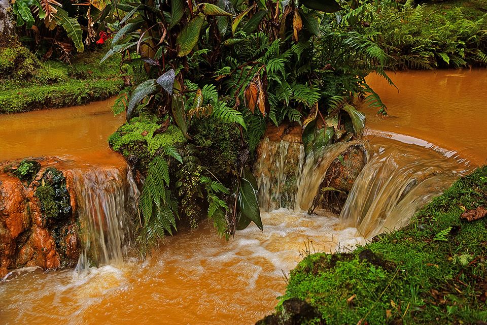 São Miguel Island: Guided Tour To Furnas Village With Lunch