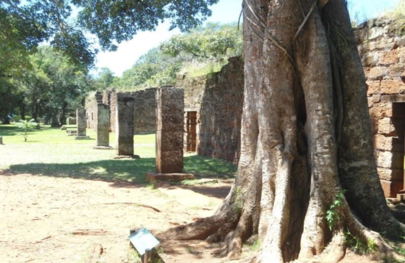 Iguazu: Full-Day Excursion To San Ignacio Ruins & Wanda Mines