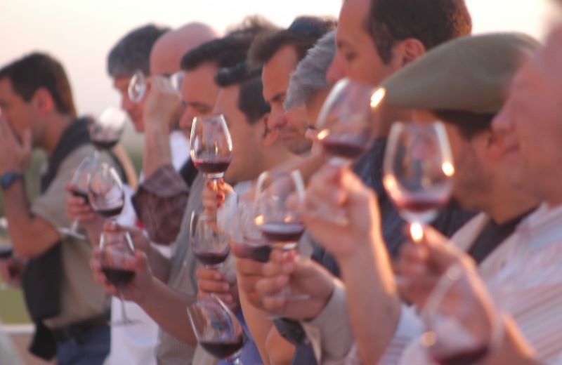 Half Day Wine Tasting Tour In Vineyards From Mendoza