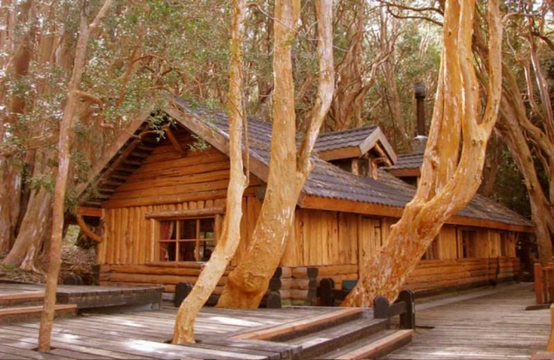 From Bariloche: Excursion To Isla Victoria & Arrayanes Forest With Boat Tour