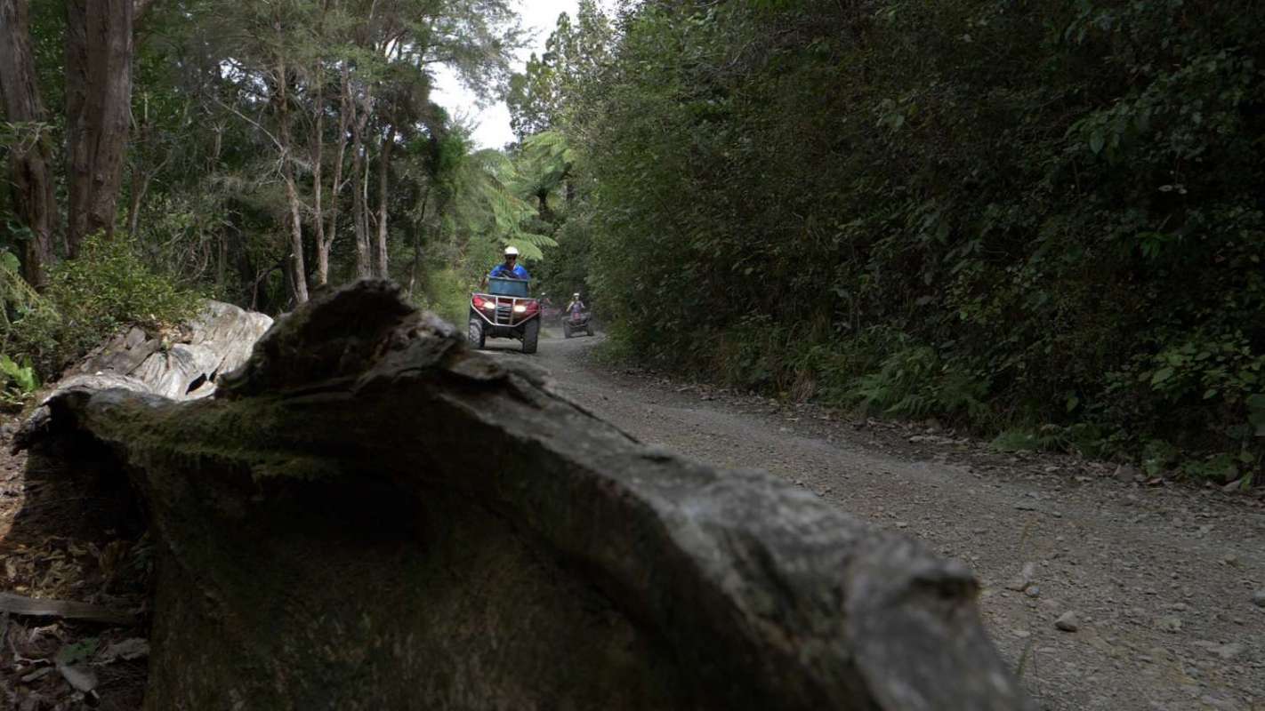 Nelson: 2.5-Hour Quad Bike Tour In The Cable Bay Adventure Park