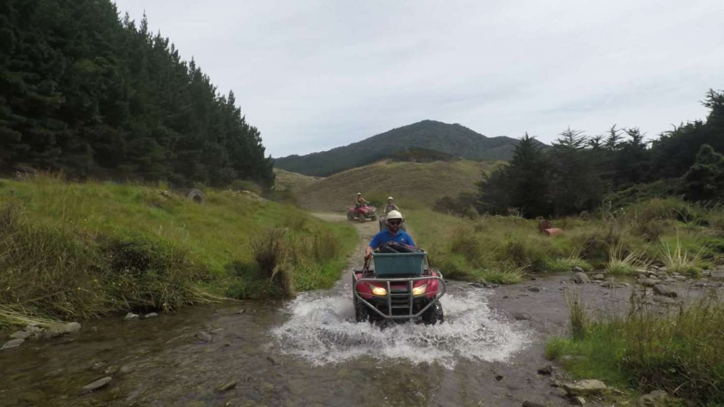 Nelson: 2.5-Hour Quad Bike Tour In The Cable Bay Adventure Park