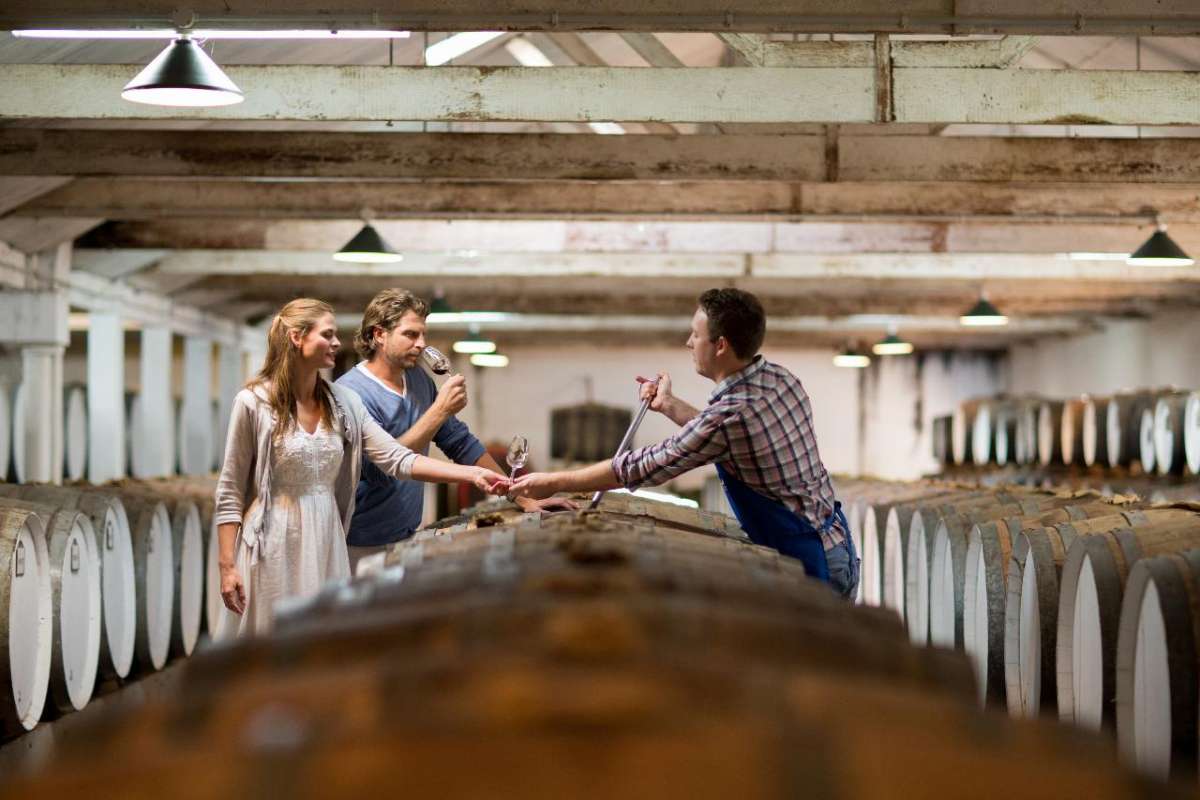 Wine Tasting Tour At Seppeltsfield Winery: Taste Your Birth Year