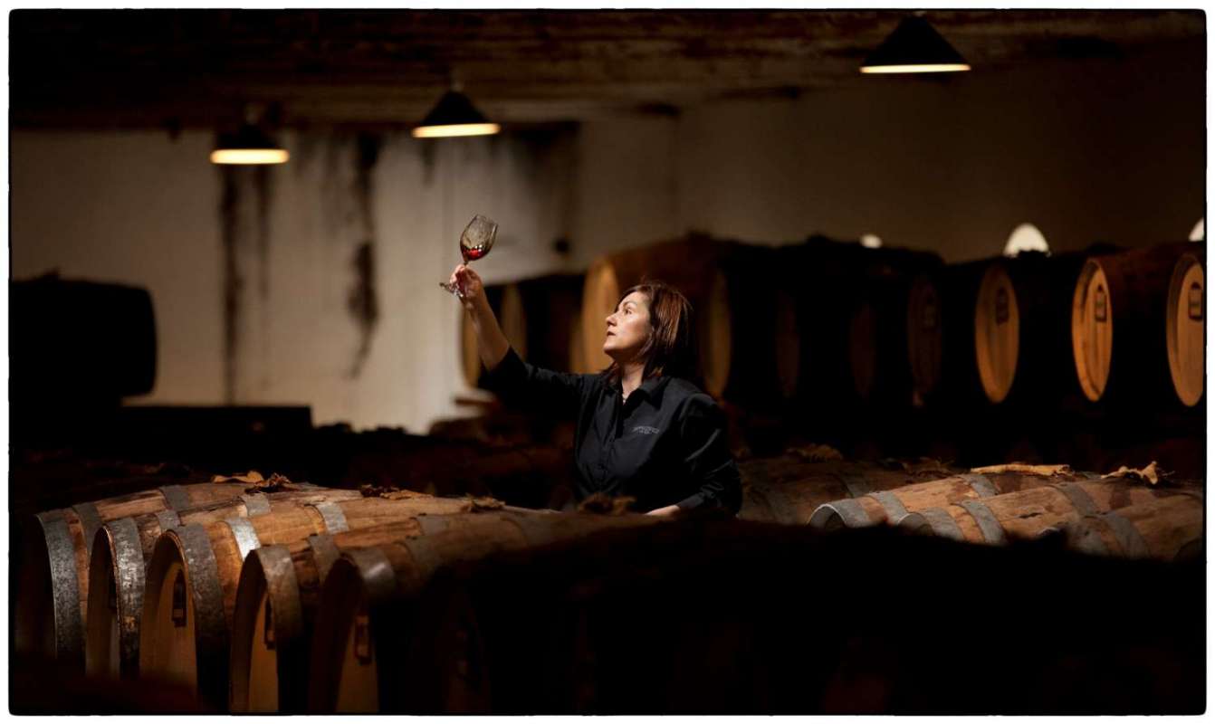 Wine Tasting Tour At Seppeltsfield Winery: Taste Your Birth Year