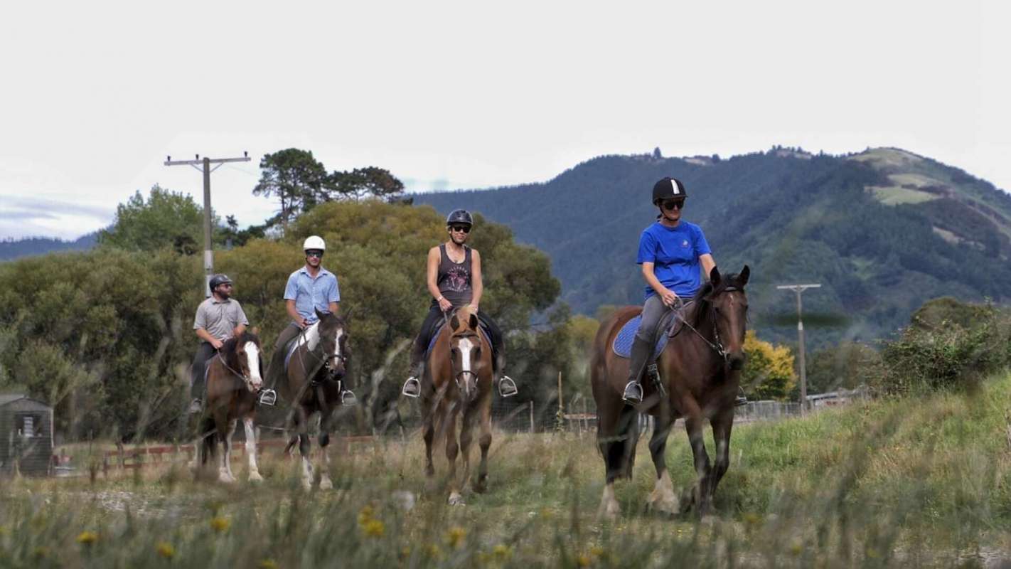 1-Hour Horse Riding On The Cable Bay Adventure Park