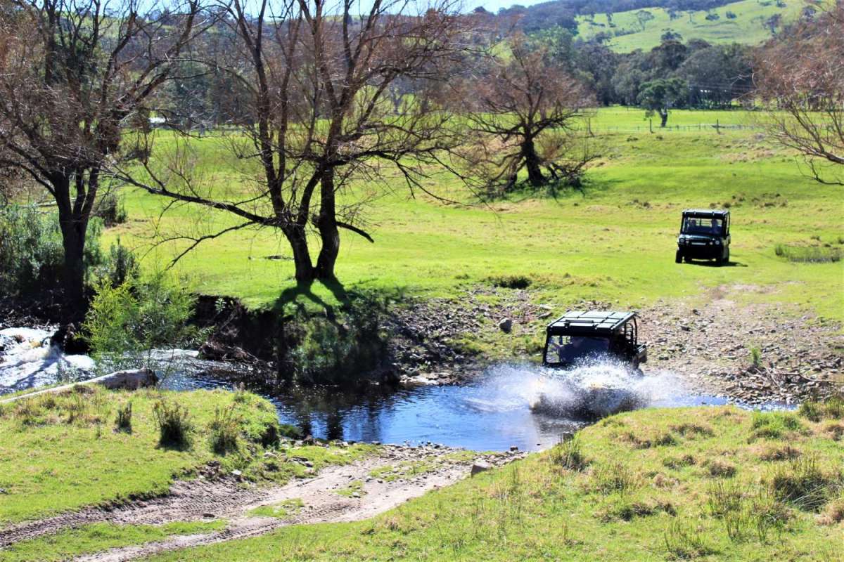 2-Hour Guided Tour To The Softfoot Alpaca Farm
