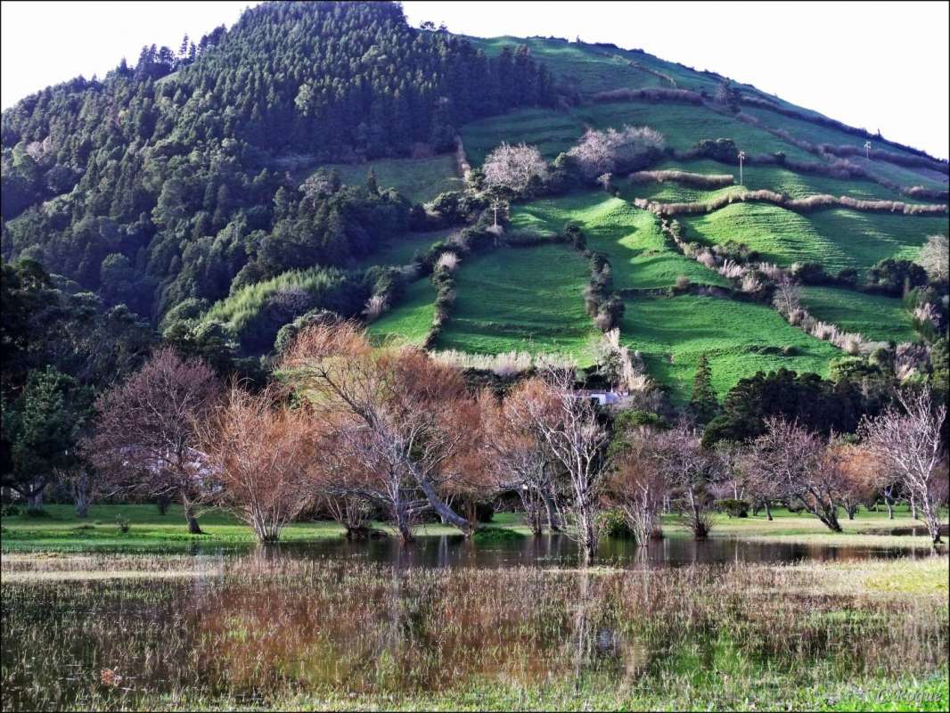 Private Full Day Tour To Furnas Village With Lunch Starting From Ponta Delgada