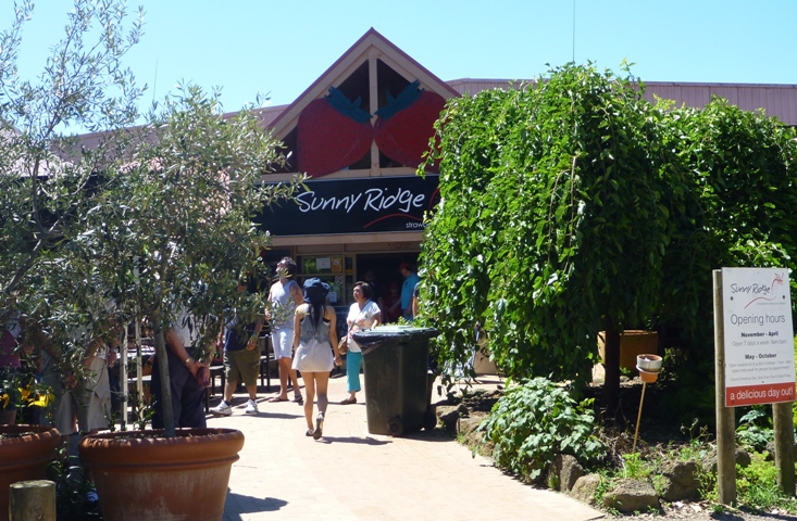 From Melbourne: Full-Day Tour To Mornington Peninsula With Wine Tasting, Spa & More