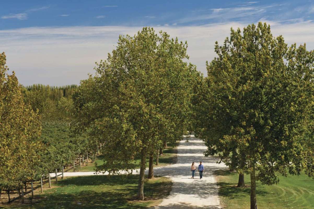 From Mount Gambier: Small-Group Tour To Coonawarra Wine Region With Tastings