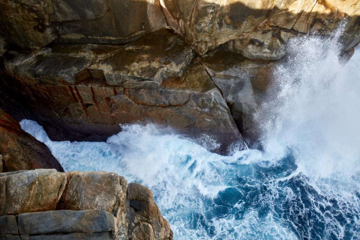 Albany: Half-Day Tour At The Historic Whaling Station At Discovery Bay