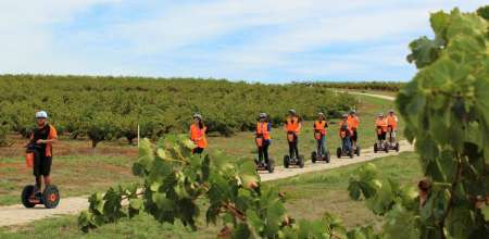 1-Hour Segway Tour At Seppeltsfield Winery, Barossa Valley