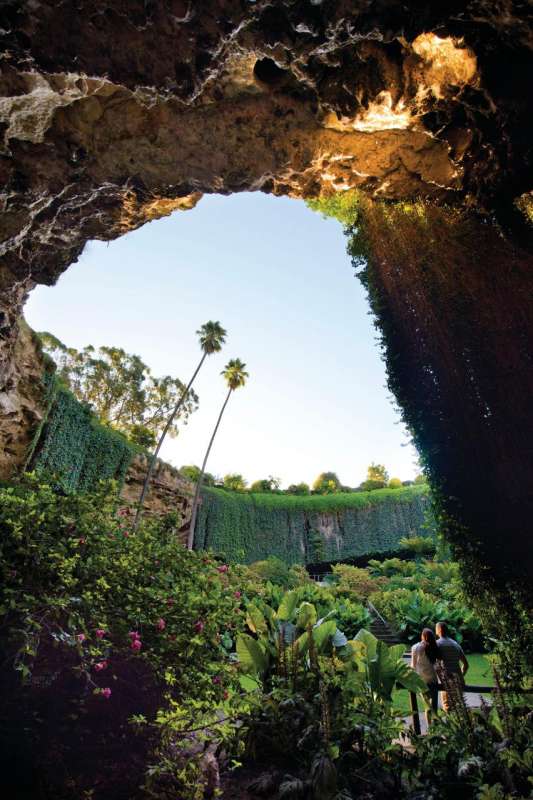 From Mount Gambier: Small-Group Tour To Blue Lake, Caves & Coast With Lunch