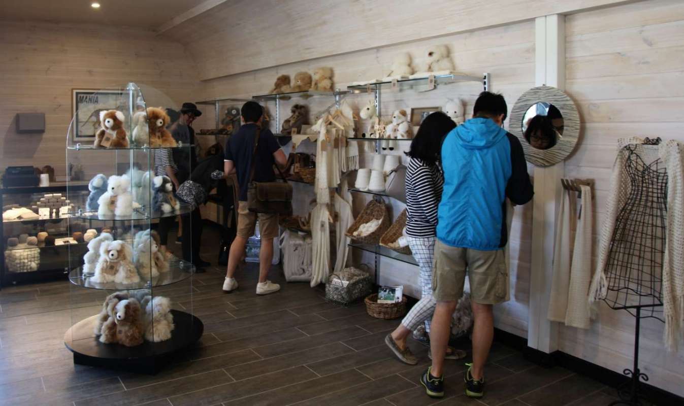 2-Hour Guided Tour To The Softfoot Alpaca Farm