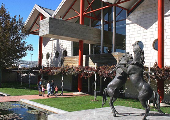From Mount Gambier: Small-Group Tour To Coonawarra Wine Region With Tastings
