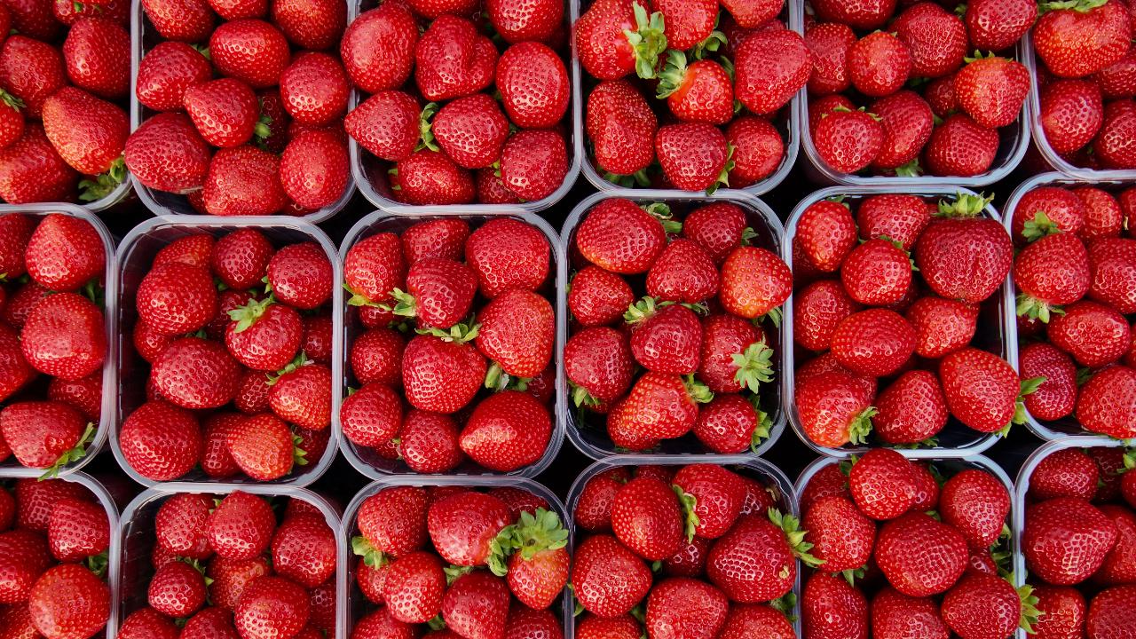 From Melbourne: Full-Day Tour To Mornington Peninsula With Wine Tasting, Spa & More