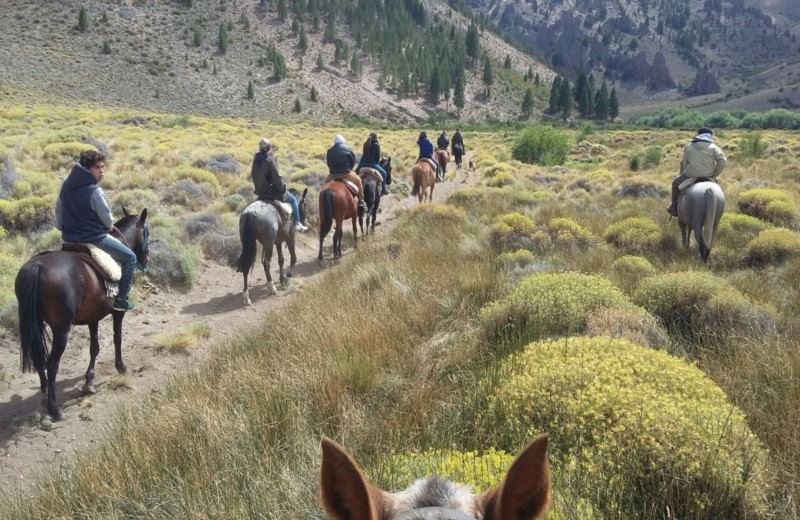 From Bariloche: Half-Day Horseback Riding Trip In Rancho San Ramon With Barbecue