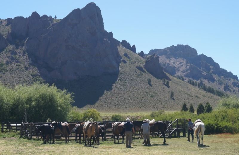 From Bariloche: Half-Day Horseback Riding Trip In Rancho San Ramon With Barbecue