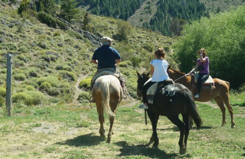 From Bariloche: Half-Day Horseback Riding Trip In Rancho San Ramon With Barbecue