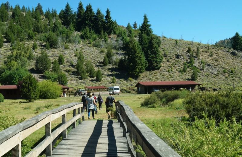 From Bariloche: Half-Day Horseback Riding Trip In Rancho San Ramon With Barbecue