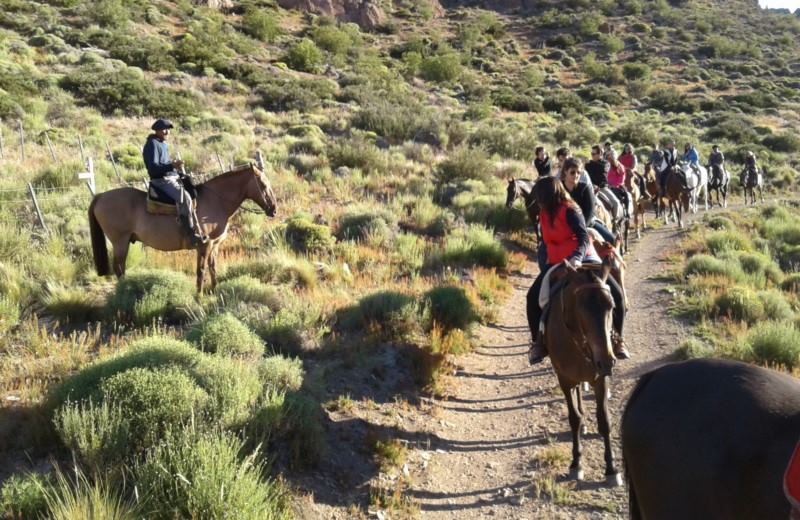 From Bariloche: Half-Day Horseback Riding Trip In Rancho San Ramon With Barbecue