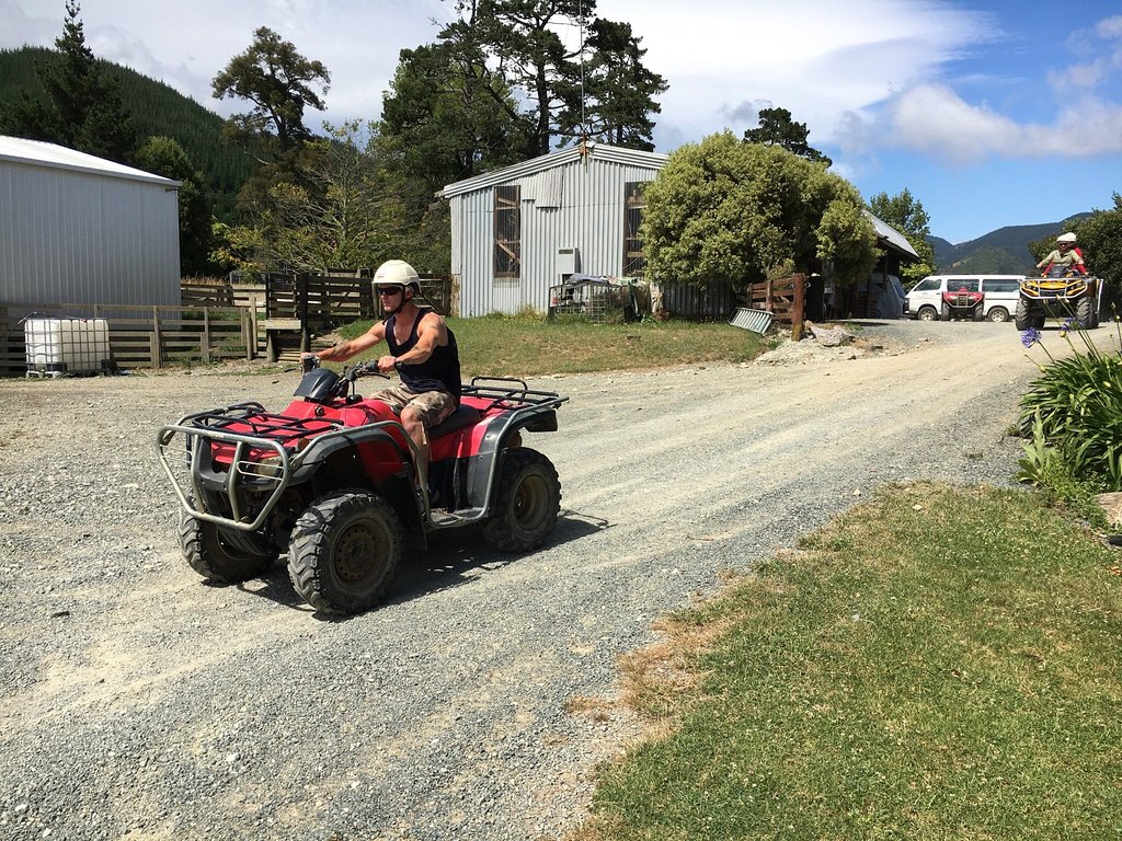 Nelson: 2.5-Hour Quad Bike Tour In The Cable Bay Adventure Park