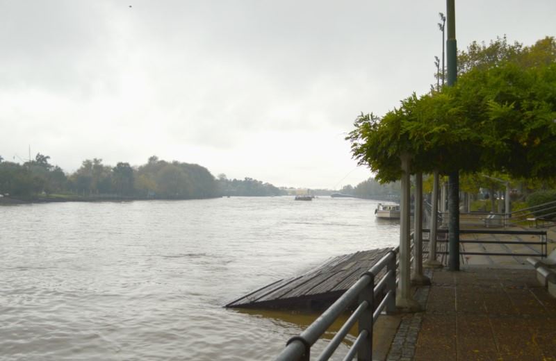Buenos Aires: Half-Day Excursion To Tigre Delta With Boat Ride
